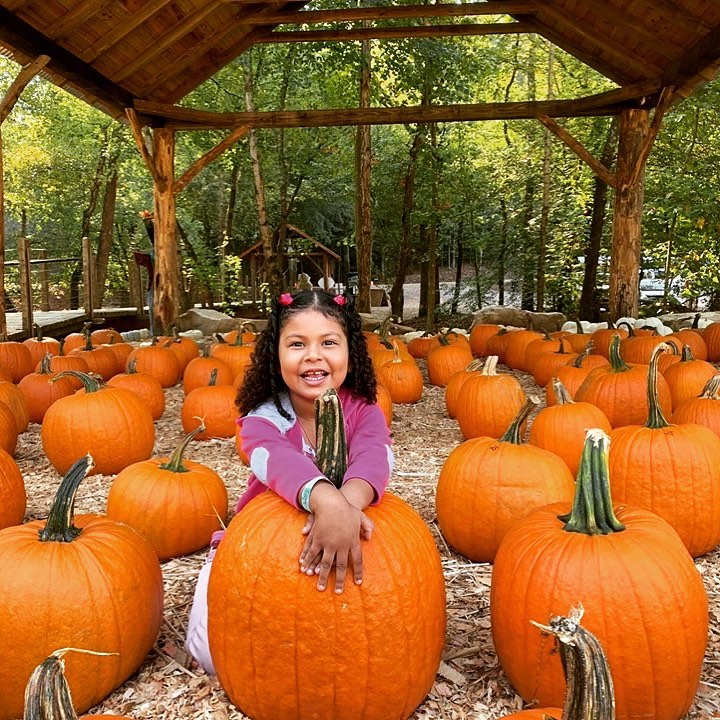 The Best North Pumpkin Patches